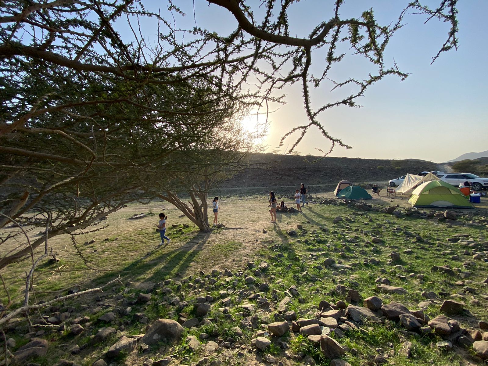 Camping among greeneries in UAE